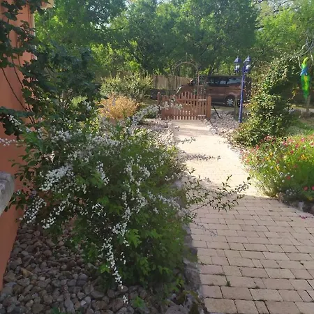 Bed and Breakfast De Balmes Vers (Lot)