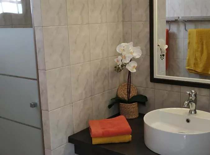 De Balmes Bed and breakfast