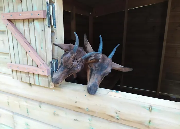 Bed and breakfast De Balmes