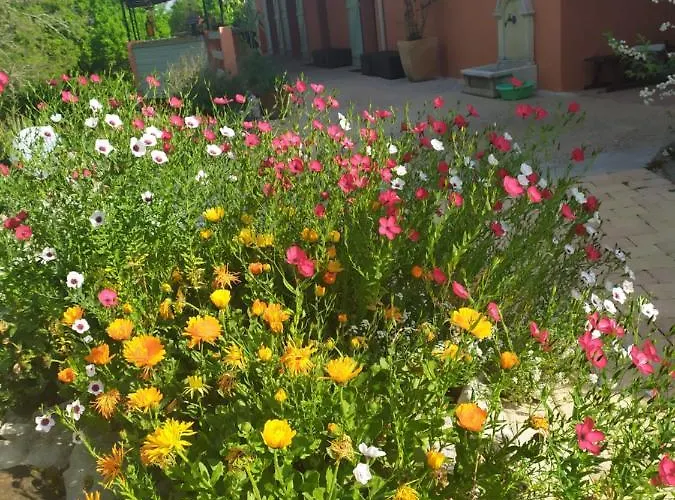 Bed and breakfast De Balmes