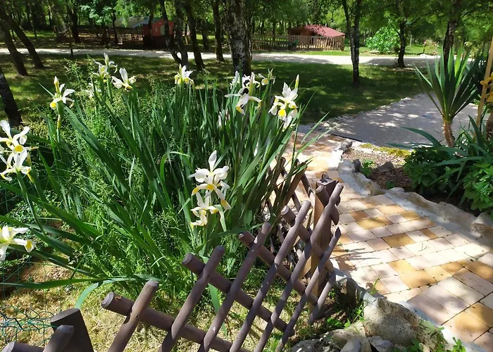 De Balmes Vers (Lot)