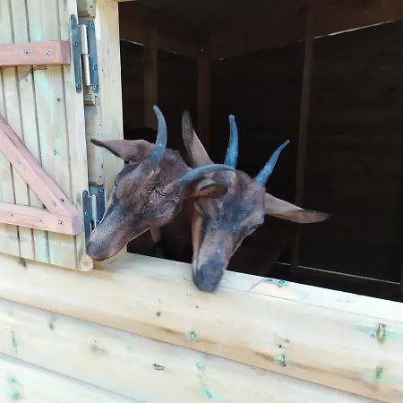 לינה וארוחת בוקר De Balmes