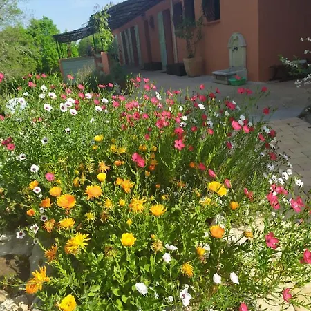 Bed and breakfast De Balmes