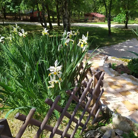 De Balmes Vers (Lot)