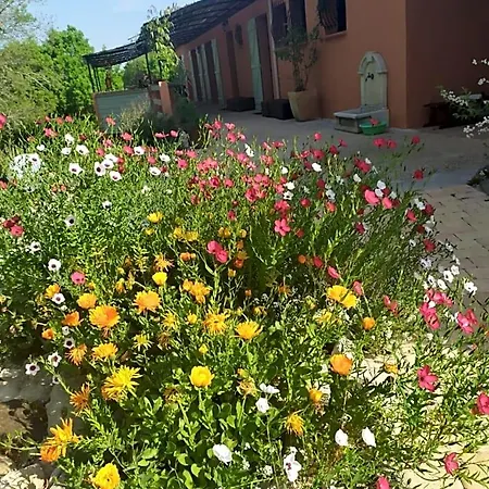 De Balmes Bed & Breakfast Vers (Lot)