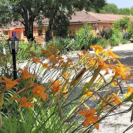 De Balmes Bed & Breakfast Vers (Lot)